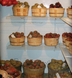 Preserving Food for Winter Storage Image